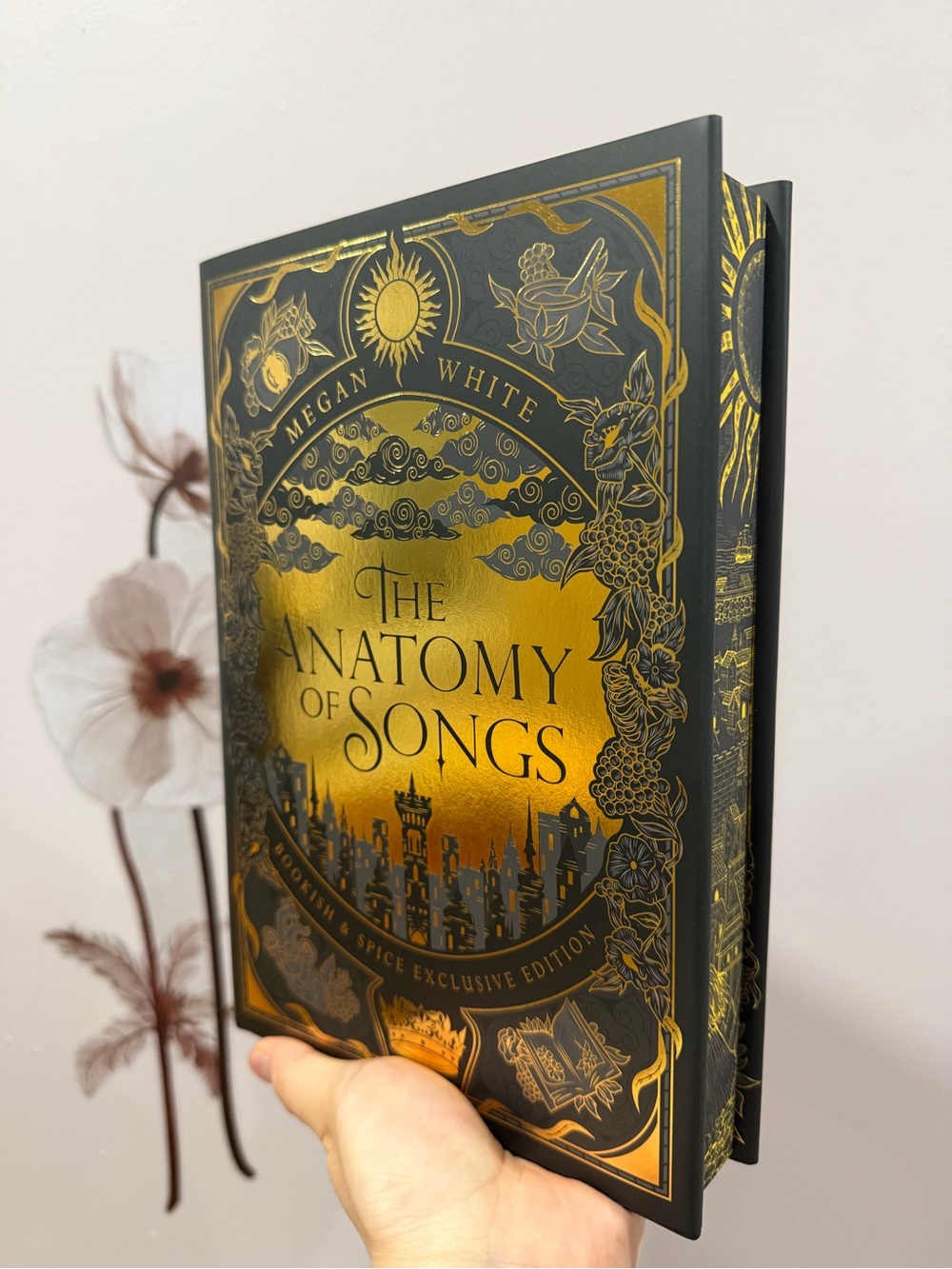Bookish and Spice The Anatomy of Songs by Megan White
